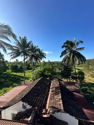 a roof of a house with palm trees in the background at Sky Holiday Homestay Cottages Madikeri Kushalnagar Coorg in Kushālnagar