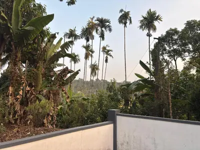 a fence with palm trees in the background at The Coffee Cube in Kaniyāmbetta