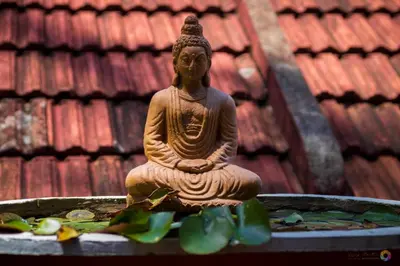 a statue of a buddha sitting next to a fountain at FAMILY RESORT MARAYOoR KANTHALLOOR in Kanthalloor