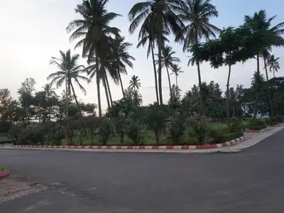 a road with palm trees and flowers on the side at Pearl Home Luxury 3Bhk family-friendly Appartment in Mysore