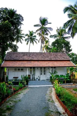 a white house with palm trees in the background at Private 1BHK Kerala Village Homestay with Open Veranda near Thrissur in Cheruthuruthi