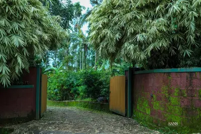 a brick wall with a gate and some trees at Paddy Land in Wayanad