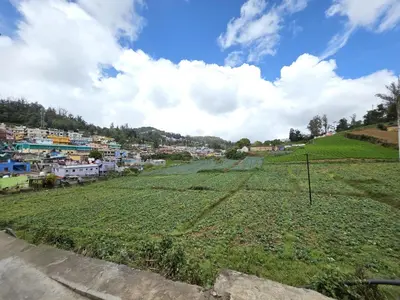 a view of a village from a field of crops at SRB Cottages in Ooty