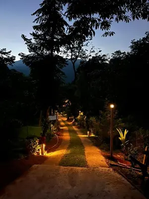 a street at night with a street light and trees at Lucas Rainforest in Kakkabe