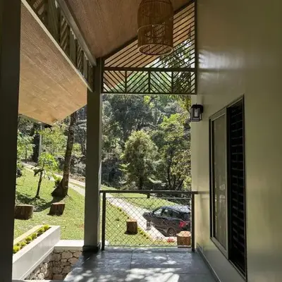 Lucas Rainforest