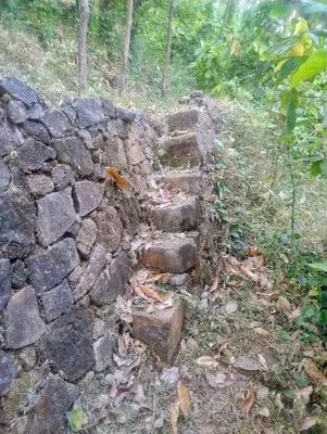 an old stone wall with steps in the grass at Maanasam Farmstay - Boutique 3BR Countryside Villa, Manikkadavu in Irrity