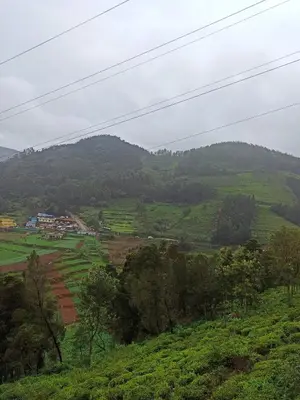 a view of a green hill with trees and fields at Ken valley homes & villa in Lovedale