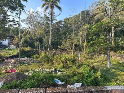 a view of a forest from the road at Fog view cottage - Homestay with food and internet in Vythiri