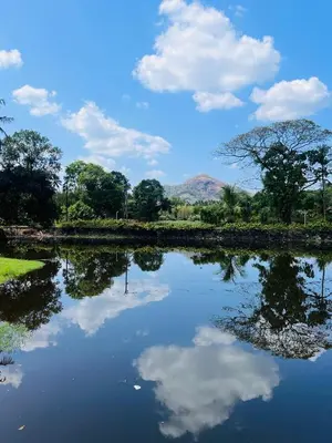 a body of water with trees and clouds in the sky at Tapovan Green County Resorts in Thattakād
