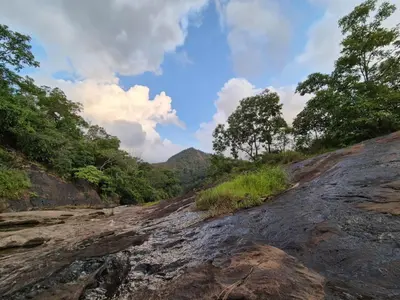 a dirt road with trees on the side of a mountain at Mamalakandam Green Hill Stay in Diya Homesay in Mamalakandam
