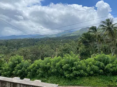 a view of a jungle with mountains in the background at Travango Settukunnu in Vythiri