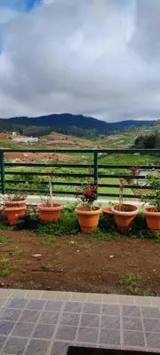 a group of potted plants inront of a fence at Noori Home Stay - 2BH in 1st Floor Near Ooty in Ooty