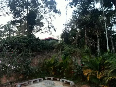 a garden with a bench and a fountain at Somanna Estate stay in Madikeri