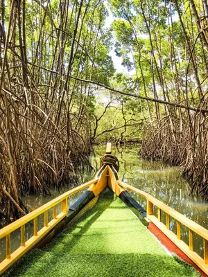 a boat in a river with a bridge at Green Island homestay in Kadalundi