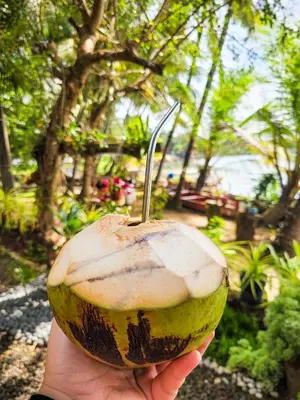 a hand holding a coconut with a knife in it at Green Island homestay in Kadalundi