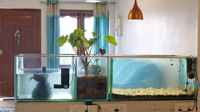 a fish tank with a plant in it at Happy Villa By Eden Luxury Stay in Ooty
