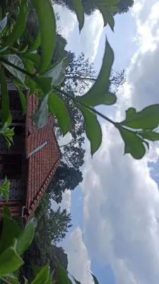 a view of the sky through the leaves of a tree at Bakka house of joy in Napoklu