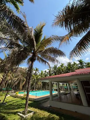 a palm tree in front of a house with a swimming pool at SARA fARM STAY