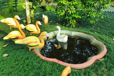 a group of fake birds in a pool of water at DJ River Meadows Resort in Wayanad
