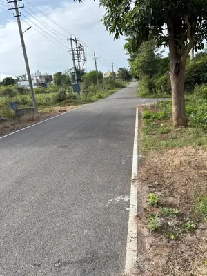 an empty road with a tree on the side at Private Room with Kitchen for Decent Couples & Families in Mysore