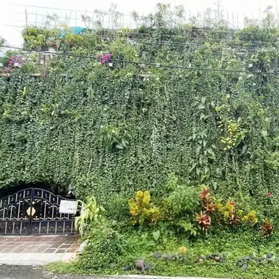 Eden Garden Homestay