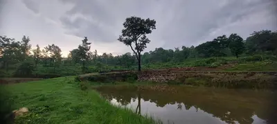 a tree sitting on the side of a river at Haven heights in Kanthalloor