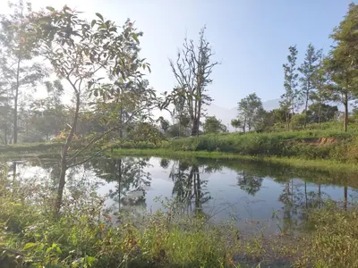 a small pond in a field with trees and grass at Haven heights in Kanthalloor