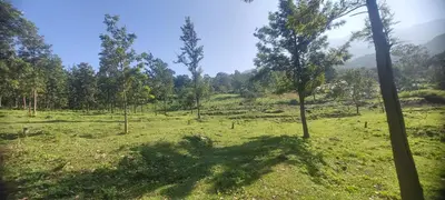 a view of a field with trees in the background at Haven heights in Kanthalloor