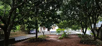 a car parked on a street with trees at A cozy home bythe waterstream, tourist places near waynad in Kodenchery