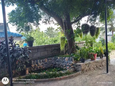 a garden with a retaining wall and a tree at Bhasuri AC Villa with Kitchen 1 in Agali