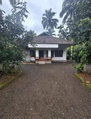 a small white house with a palm tree behind it at Winter Valley Homestay in Vythiri