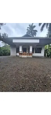 a house with a palm tree in the background at Winter Valley Homestay in Vythiri