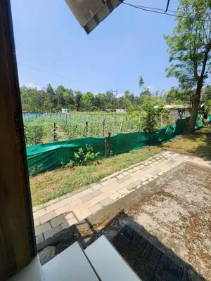 a view of a field from the window of a house at Tusker Valley Bamboo Room Mudumalai by Privacy Homes in Mudumalai National Park