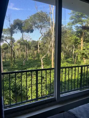 a window with a view of a forest at Farmscape Retreat in Gonikoppal