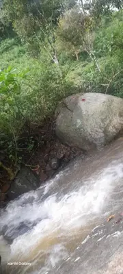 a large rock sitting on the side of a river at Organic Farmers Tent & Trekking in Yedapalli
