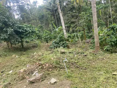 a dirt road in the middle of a forest at ARAVON Homes in Meenangadi