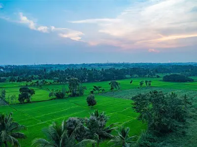 a green field with palm trees and a cloudy sky at New SK Residency Mysore in Mysore