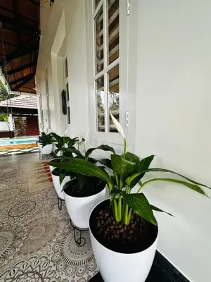 a row of potted plants sitting on a porch at ThunderHill by Casablanca - A Premium Pool Villa in Meenangadi