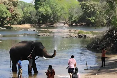 a group of people standing around an elephant in the water at Coorg Mystere Luxury Home Stay in Madikeri