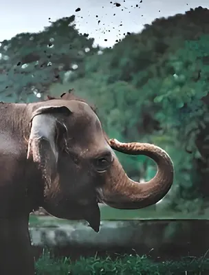 an elephant standing in the grass with its trunk at Coorg Mystere Luxury Home Stay in Madikeri