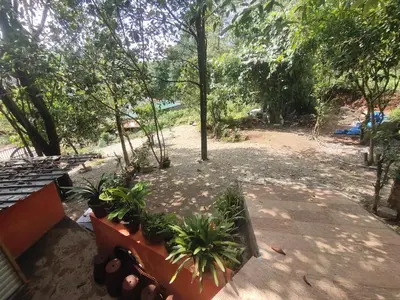 a yard with trees and plants on a patio at Soul Stay in Munnar