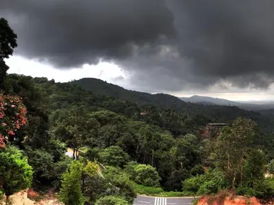 a road in the middle of auliculiculiculiculiculiculiculiculic at Coorg Heights in Madikeri