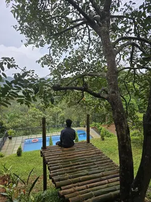 a person sitting on a bench under a tree at Woodshade resort in Wayanad