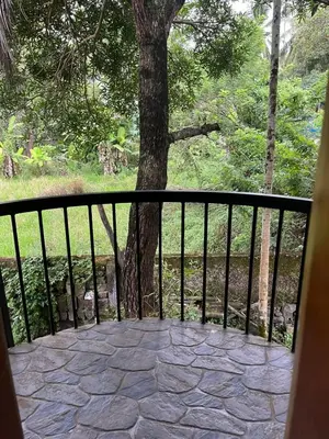 a balcony with a tree and a stone patio at Apricot Cottage in Kozhikode