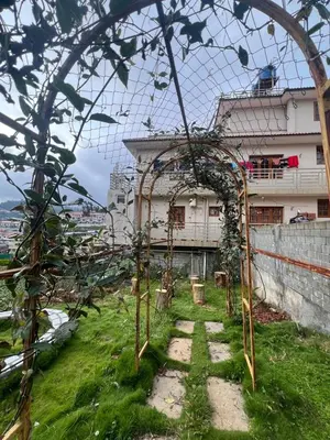 a building on top of a hill with an arbor at Essar Cottage in Ooty