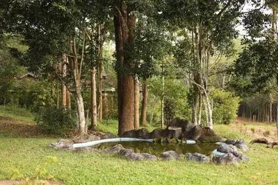 a pond in a field with rocks and trees at Aquatica by bough'n villa in Kenichira