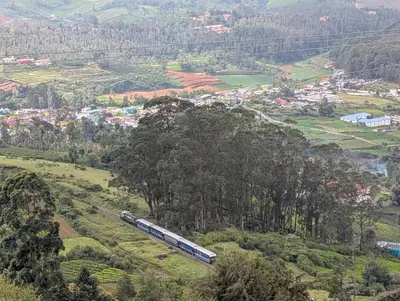 a train on the tracks in a field with trees at Cherry Blossom in Kotagiri
