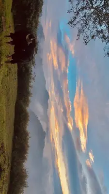an aerial view of a cloud formation in the sky at Balacalava Guest House in Coonoor