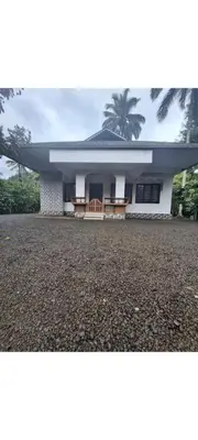 a small white house with a palm tree behind it at Winter Valley Homestay in Vythiri