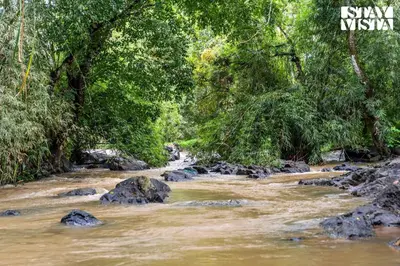 a river in the jungle with rocks and trees at StayVista at The River Mist with complimentary Breakfast & Bonfire in Wayanad